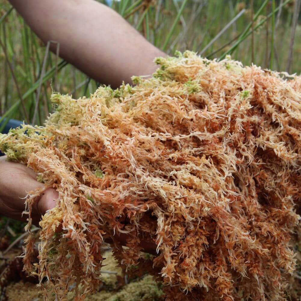 Inspired by Another 13 - No.28 - Image 6