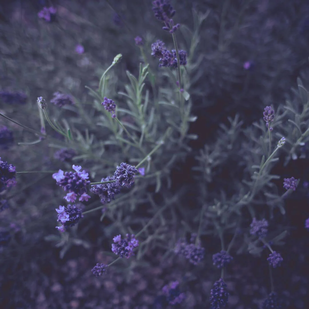 Inspired by Sauvage ELIXIR - No.11 - Image 5