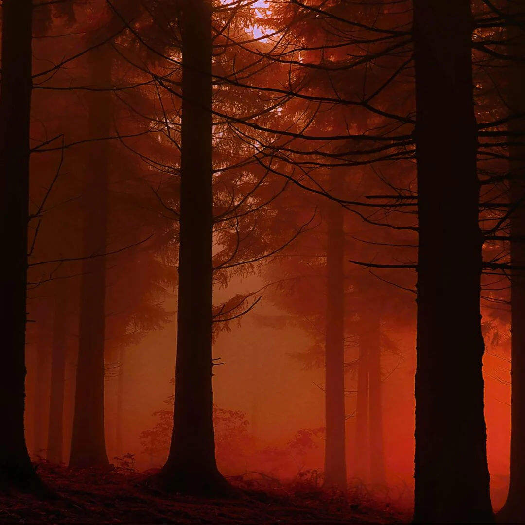 Inspired by Sauvage ELIXIR - No.11 - Image 6